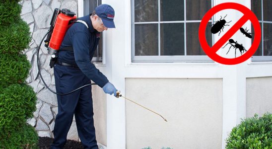 Yedisu Akrep İlaçlama böcek ilaçlama ve haşere kontrolü — ilaclama-tr.com
